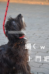 網(wǎng)貸逾期警察不會(huì)上門吧(網(wǎng)貸上門可以報(bào)警嗎)