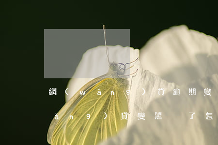 網(wǎng)貸逾期變黑戶怎么辦 網(wǎng)貸變黑戶了怎么辦