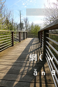 網(wǎng)貸逾期讓他們起訴我(網(wǎng)貸逾期會被起訴到法院嗎)