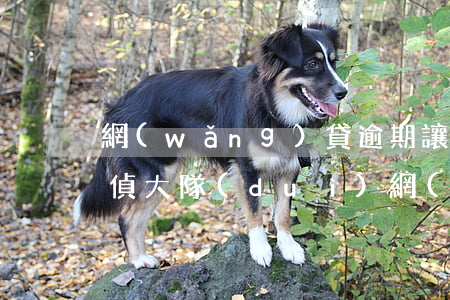 網(wǎng)貸逾期讓去經(jīng)偵大隊(duì)(網(wǎng)貸逾期接到經(jīng)偵打來(lái)的電話(huà))