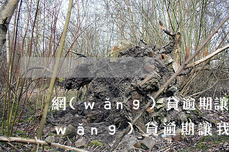 網(wǎng)貸逾期讓我一次性還清(網(wǎng)貸逾期讓我一次性還清)