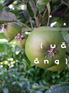 網(wǎng)貸逾期讓拿身份證去(網(wǎng)貸逾期身份證過(guò)期能去派出所換嗎)