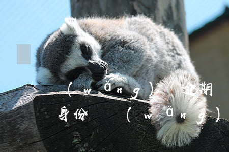 網(wǎng)貸逾期讓準(zhǔn)備身份證(網(wǎng)貸逾期身份證過(guò)期能去派出所換嗎)