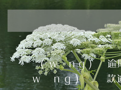 網(wǎng)貸逾期讓起訴了怎么弄(網(wǎng)貸貸款逾期被起訴怎么辦)