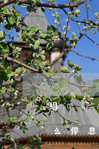 網(wǎng)貸逾期負(fù)債減免怎么停息掛賬(網(wǎng)貸逾期可以停息掛賬分期還款嗎?)