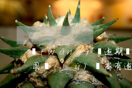網(wǎng)貸逾期負(fù)債累累原因(負(fù)債高有逾期必通過的網(wǎng)貸)