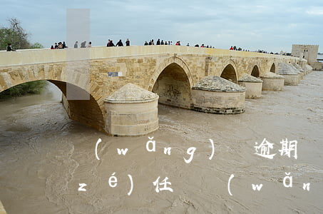 網(wǎng)貸逾期負(fù)法律責(zé)任嗎(網(wǎng)貸逾期法律法規(guī)最新)