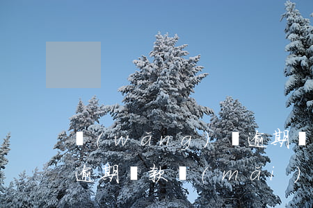 網(wǎng)貸逾期貸，網(wǎng)貸逾期貸款買(mǎi)房可以嗎