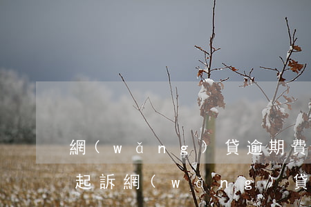 網(wǎng)貸逾期費(fèi)用太高起訴(網(wǎng)貸逾期費(fèi)用太高起訴)