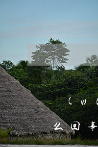 網(wǎng)貸逾期費(fèi)用是怎么回事(網(wǎng)貸逾期的費(fèi)用這么高怎么辦)