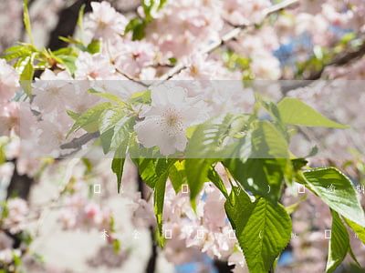 網(wǎng)貸逾期費(fèi)用超過本金還嗎(網(wǎng)貸逾期的費(fèi)用用還嗎?)