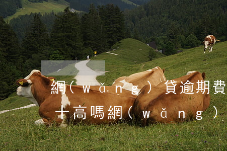 網(wǎng)貸逾期費(fèi)百分之十高嗎(網(wǎng)貸逾期費(fèi)太高如何處理)