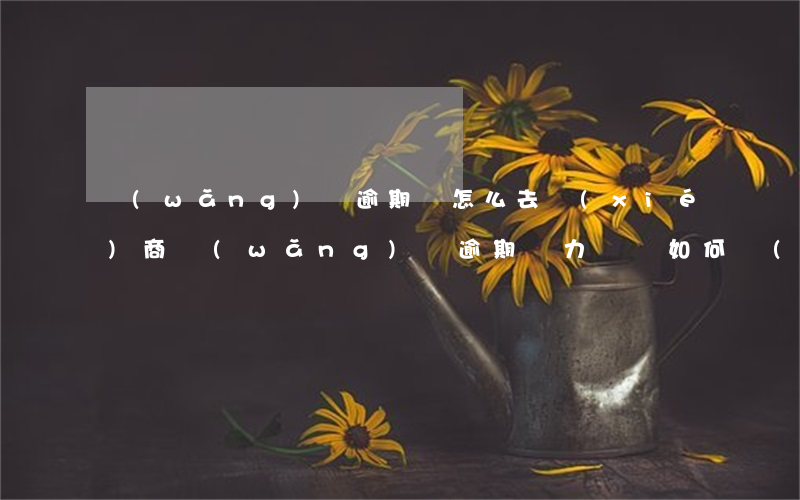 網(wǎng)貸逾期費怎么去協(xié)商(網(wǎng)貸逾期無力償還如何協(xié)商)