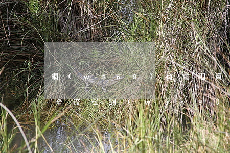 網(wǎng)貸逾期資產(chǎn)保全流程(網(wǎng)貸逾期處理方法)