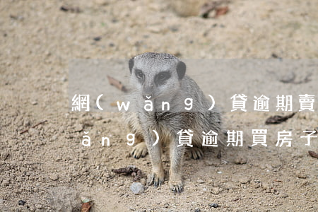 網(wǎng)貸逾期賣房有影響嗎(網(wǎng)貸逾期買房子有影響嗎)