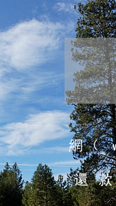 網(wǎng)貸逾期賬號丟了登不了怎么還款-網(wǎng)貸逾期賬號丟了登不了怎么還款呢