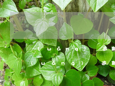 網(wǎng)貸逾期起訴一般多久開庭(網(wǎng)貸逾期多長時(shí)間才有可能被告上法庭)