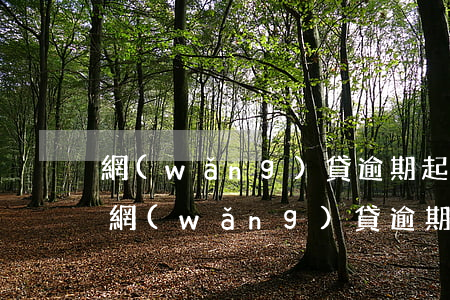 網(wǎng)貸逾期起訴不去法院會怎樣(網(wǎng)貸逾期起訴不去會怎么樣)
