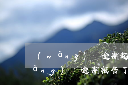 網(wǎng)貸逾期起訴了怎么辦(網(wǎng)貸逾期被告了怎么辦)