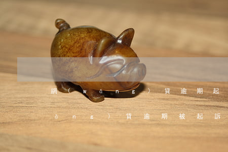 網(wǎng)貸逾期起訴什么后果(網(wǎng)貸逾期被起訴了會有什么后果)