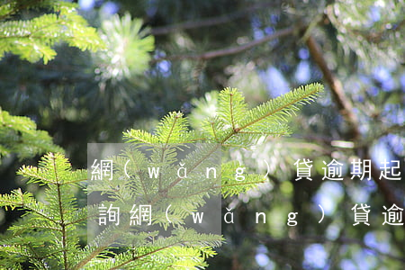 網(wǎng)貸逾期起訴信息在哪里查(查詢網(wǎng)貸逾期)