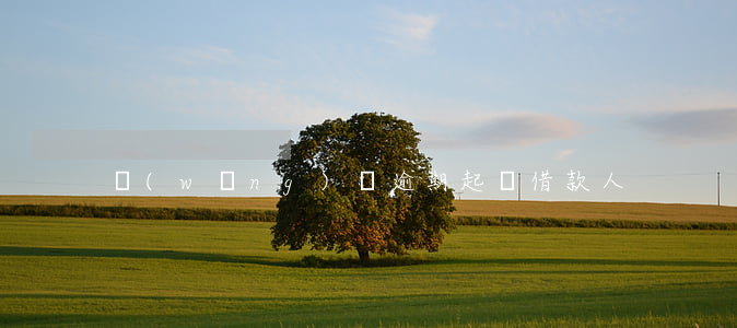 網(wǎng)貸逾期起訴借款人