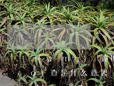 網(wǎng)貸逾期起訴前期調(diào)查是什么意思（網(wǎng)貸逾期被起訴前需要備案調(diào)查嗎）