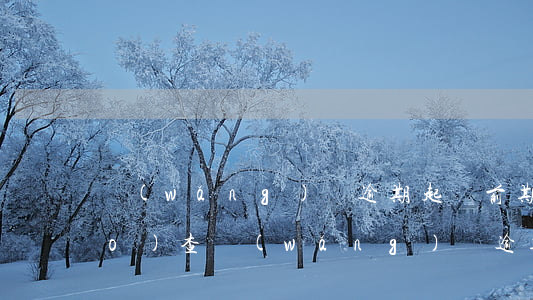 網(wǎng)貸逾期起訴前期調(diào)查(網(wǎng)貸逾期多久起訴立案標(biāo)準(zhǔn))