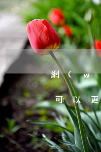 網(wǎng)貸逾期起訴前車(chē)可以更名嗎(改名后網(wǎng)貸逾期沒(méi)有了)