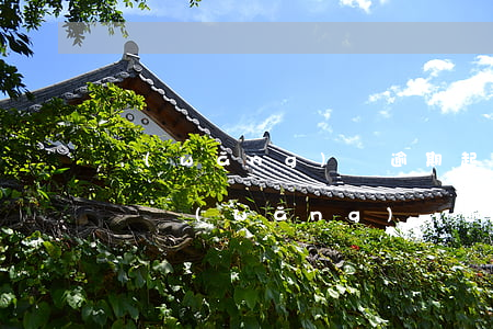 網(wǎng)貸逾期起訴前需要本人簽字嗎 網(wǎng)貸逾期了他們說要起訴我,我該怎么辦?