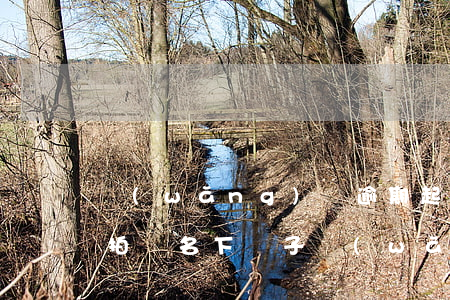 網(wǎng)貸逾期起訴后會(huì)拍賣名下車子(網(wǎng)貸會(huì)不會(huì)強(qiáng)制拍賣名下)