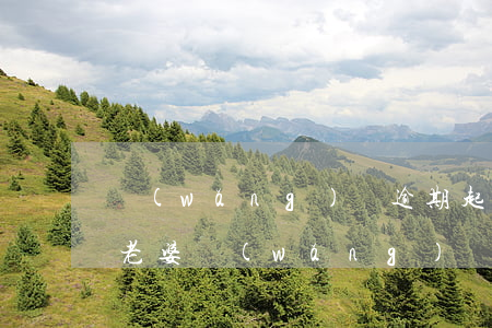 網(wǎng)貸逾期起訴執(zhí)行老婆(網(wǎng)貸逾期被起訴到執(zhí)行需要多長(zhǎng)時(shí)間)