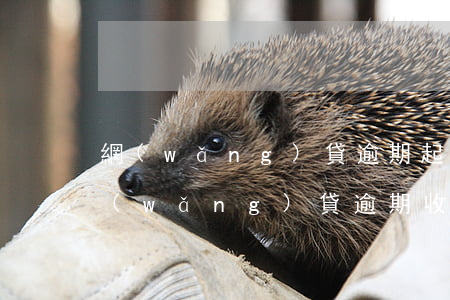 網(wǎng)貸逾期起訴多久收到通知 網(wǎng)貸逾期收到起訴書