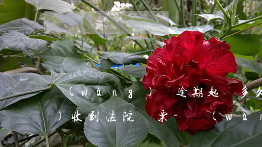 網(wǎng)貸逾期起訴多久會(huì)收到法院傳票-網(wǎng)貸逾期起訴多久會(huì)收到法院傳票通知