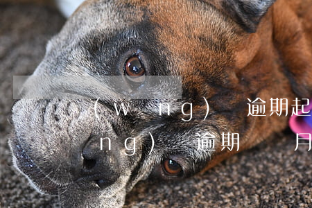 網(wǎng)貸逾期起訴多長時間(網(wǎng)貸逾期幾個月會被起訴)