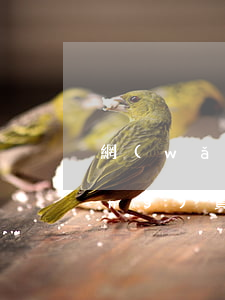 網(wǎng)貸逾期起訴害怕嗎(網(wǎng)貸逾期是否會(huì)被起訴)