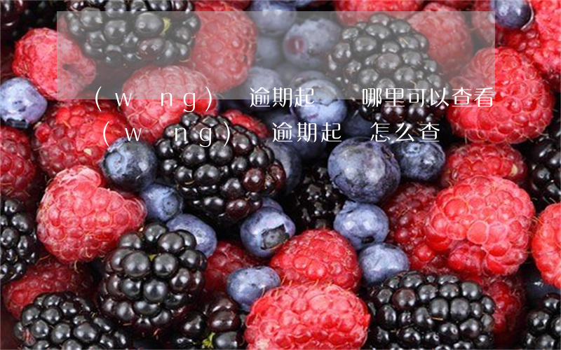 網(wǎng)貸逾期起訴從哪里可以查看 網(wǎng)貸逾期起訴怎么查詢