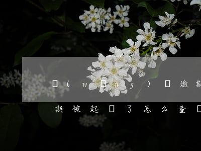 網(wǎng)貸逾期起訴怎么查詢（貸款逾期被起訴了怎么查詢）