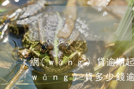 網(wǎng)貸逾期起訴成本有多大(網(wǎng)貸多少錢逾期起訴立案標(biāo)準(zhǔn))