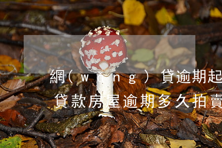 網(wǎng)貸逾期起訴拍賣抵押房(抵押貸款房屋逾期多久拍賣)