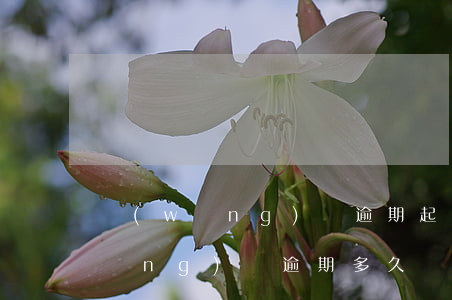 網(wǎng)貸逾期起訴是真的嗎(網(wǎng)貸逾期多久會(huì)被起訴到法院正規(guī))