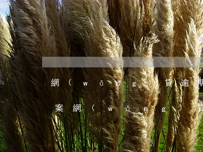 網(wǎng)貸逾期起訴會(huì)立案 網(wǎng)貸逾期起訴多久會(huì)立案
