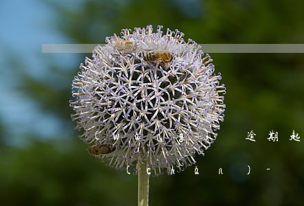 網(wǎng)貸逾期起訴會不會凍結名下財產(chǎn)-網(wǎng)貸逾期起訴會不會凍結名下財產(chǎn)呢