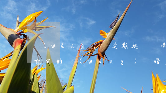 網(wǎng)貸逾期起訴會影響配偶嗎(婚前欠的網(wǎng)貸婚后被起訴會涉及對象嗎)