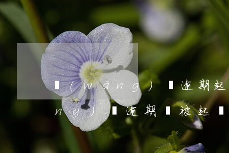 網(wǎng)貸逾期起訴會怎樣(網(wǎng)貸逾期會被起訴么)