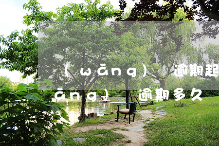 網(wǎng)貸逾期起訴會被抓嗎(網(wǎng)貸逾期多久會被起訴會有什么后果)