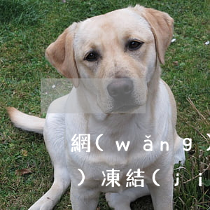 網(wǎng)貸逾期起訴有權(quán)凍結(jié)配偶財產(chǎn)-網(wǎng)貸逾期起訴有權(quán)凍結(jié)配偶財產(chǎn)