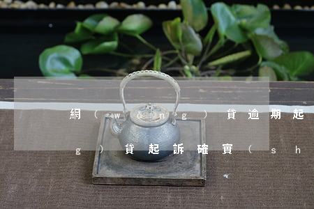 網(wǎng)貸逾期起訴沒錢(網(wǎng)貸起訴確實(shí)沒有錢還)