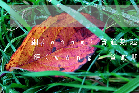 網(wǎng)貸逾期起訴法院有什么流程(網(wǎng)貸逾期說(shuō)要起訴我一般多久收到法院)