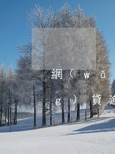 網(wǎng)貸逾期起訴的話 網(wǎng)貸逾期被起訴該怎么辦
